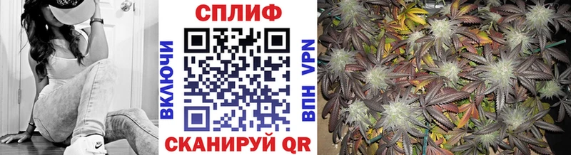 Шишки марихуана семена  Иваново 